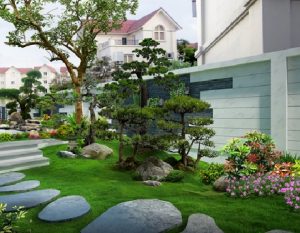 Ý tưởng trang trí cây sân vườn phù hợp nhất