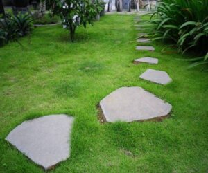 lợi ích đá lát sân vườn