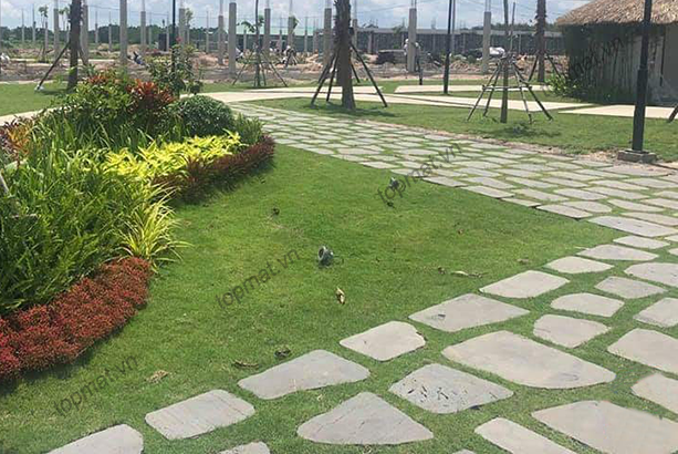 Lối đi bước dạo lát đá tự nhiên xen kẽ cỏ trong sân vườn